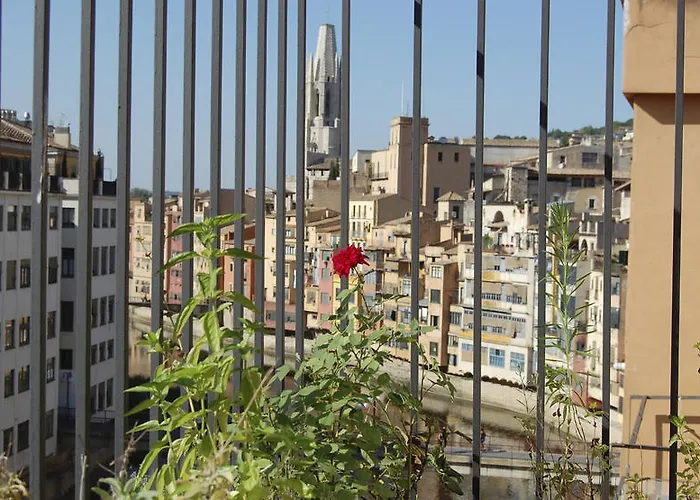 Centre خيرونا